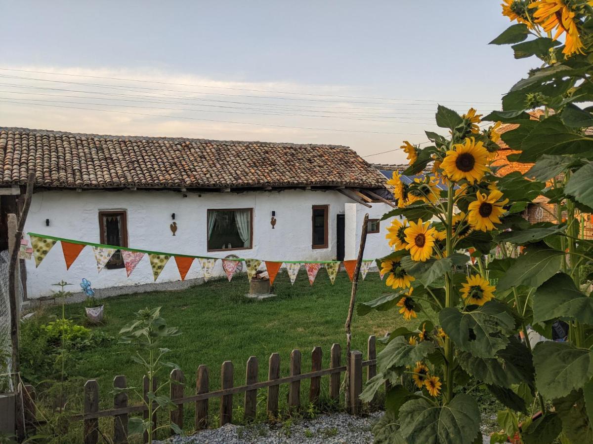 Serendipity Cottage Palamartsa Palamarza المظهر الخارجي الصورة